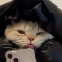 White Whiskers ︱SFW ? 13+ ? Fun ? Aesthetic ? Small Community