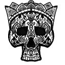 the lunatic asylu-