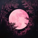 Lumi