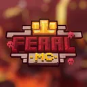 Feral MC 100$ Team competition