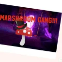 marshroom gang!