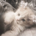 Trent’s Lair Discord server icon