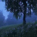 ᴅᴇᴘʀᴇꜱꜱɪᴠᴇ ᴀᴅᴀᴘᴛᴇʀ