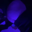 kink playground's icon