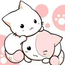 ᨐฅ꒰Meow Lounge Cafe ꒱ᨐฅ