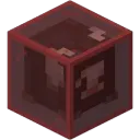 Collectors Hub Icon