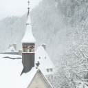 St. Dymphna’s Chalet Discord server icon