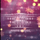 United States of America | Roleplay
