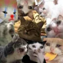 Idiots Discord server icon