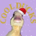 🎄CoolDucks