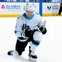 NHLdex