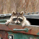 🗑 TRASH REALM 🗑