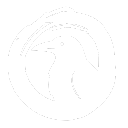 Migration - Crow Survival Game Discord Server Icon