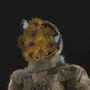 ★彡ᴅʀᴇᴀᴍᴇʀꜱ ᴏᴀꜱɪꜱ彡★