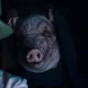 🐷El chancho mega server🐷