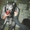 Wolfsbane