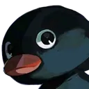 Penguin Cult