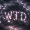 WTD HOOD