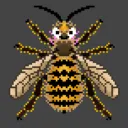 Hornets Hangout