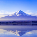 動画交換 Discord server icon