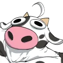 MooMooCord