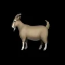 GOAT Chise