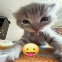 looking for a freaky friend  Discord Server Icon