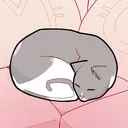 Maya’s Cozy Corner