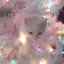 ‘tism Discord server icon