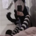 🐾 looking for love !