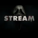ＳＴＲＥＡＭ