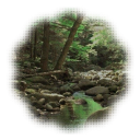 ֹ 🏛 ˓ 𝙃𝙚𝙧𝙤𝙚𝙨 𝙤𝙛 𝙊𝙡𝙮𝙢𝙥𝙪𝙨  ﹗ Discord server icon