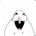 Eliiiiii hiiiii Discord server icon