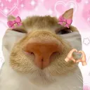 Lesbian Samaj