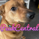Peak Central Discord server icon