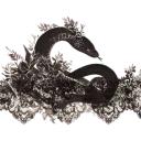 Vaine