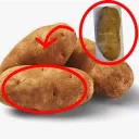 potato land