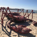 Crab Car Talk REBORN