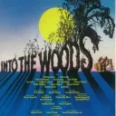Into The Woods