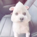 kocain Discord server icon