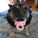 Squirt Squad Discord server icon