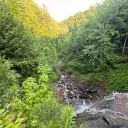 Nature’s Cove