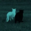FrixndlyyHub