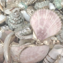 𝓅ℯ𝓁ℴ𝓇𝒾𝓈 ₊⁺ ⊹ Discord server icon