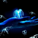 ᴛᴀʟᴇꜱ ᴏꜰ ᴘᴀɴᴅᴏʀᴀ Discord server icon