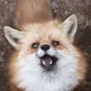 あいすのサーバー