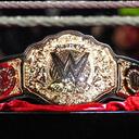 WWE: The Wrestling Standard Discord Server Icon