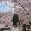 ノ kitxii .　#ʀᴇᴠᴀᴍᴘ