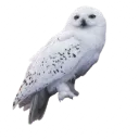 𝕲olden 𝕿imes |  ₐ Gₒₗdₑₙ ₜᵣᵢₒ ₛₑᵣᵥₑᵣ