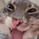 Hehe silly Discord server icon